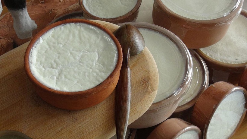 Silifke Yoğurdu Artık Coğrafi İşaret Tescilli