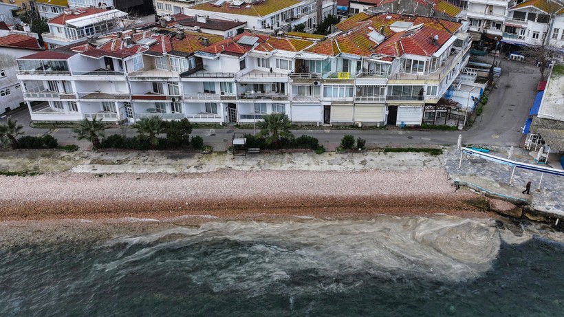 Adalar'da Müsilaj Kabusu Devam Ediyor