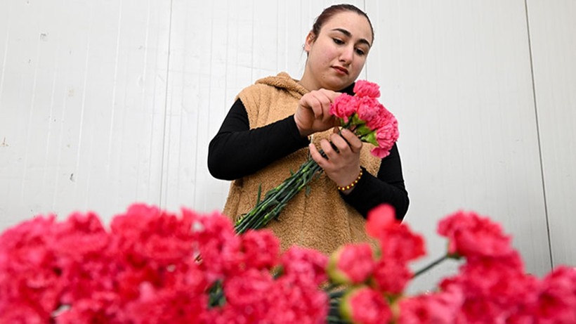 30 Ülkenin Sevgililer Günü Hediyesi Türkiye'den! 75 Milyon Dal Kesme Çiçek Gitti