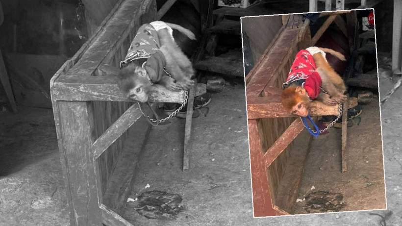 Polis Ekiplerinin Yüreğini Sızlatan Baskın, Elleri Zincirlenmiş Halde Bulundu