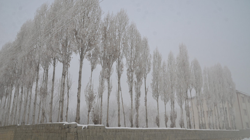 Hakkari ve Muş'ta Kar Esareti! Ulaşım Durdu