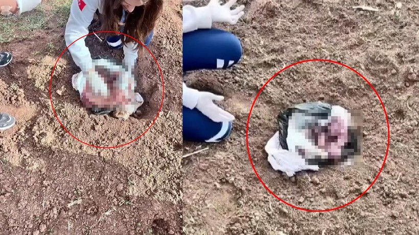 Şırnak'ta Kan Donduran Olay: Poşet İçerisinde Yeni Doğmuş Kız Bebek Cesedi Bulundu