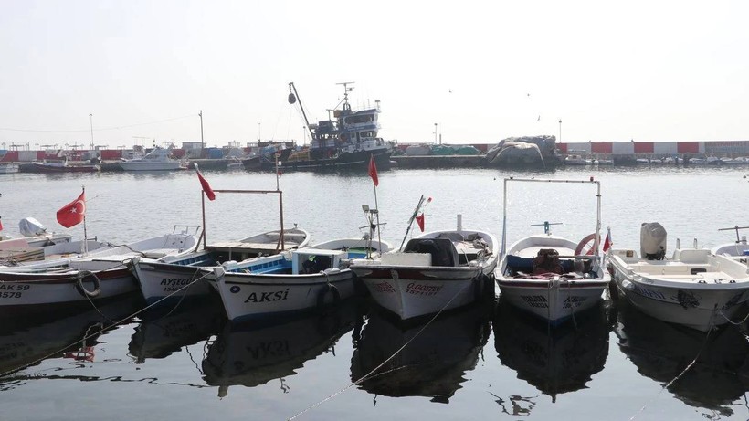 Tekirdağlı Balıkçılar İstavrit ve Hamsi İçin Denize Açıldı