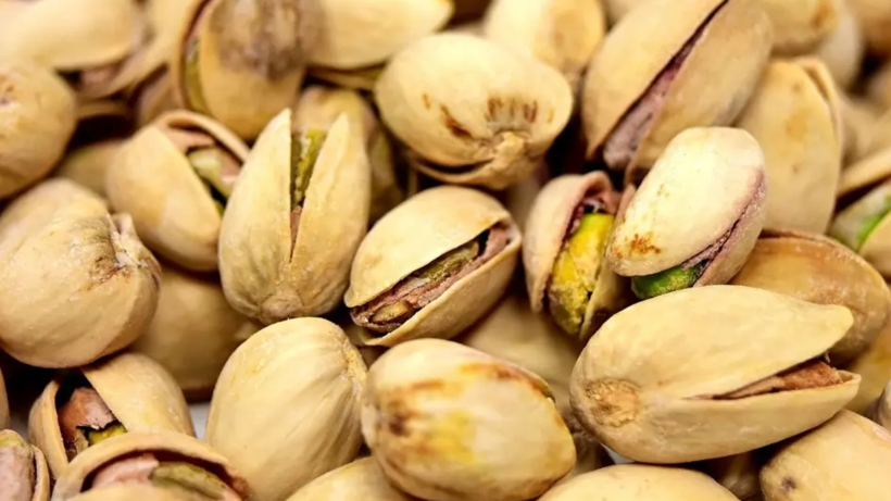 Türkiye'den Gönderilen Antep Fıstığında Kanserojen Madde! Sınırda Durduruldu