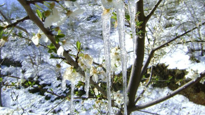 Meteoroloji Muğla İçin Tarih Verdi! 5 Gün Buz Tutacak