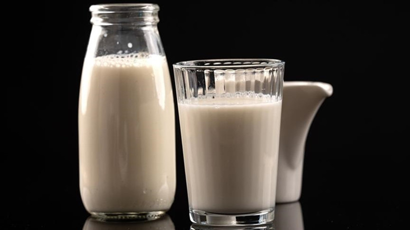 Türk Süt Ürünleri Ukrayna Yolunda! İhracatta Yeni Fırsat Kapısı Aralandı