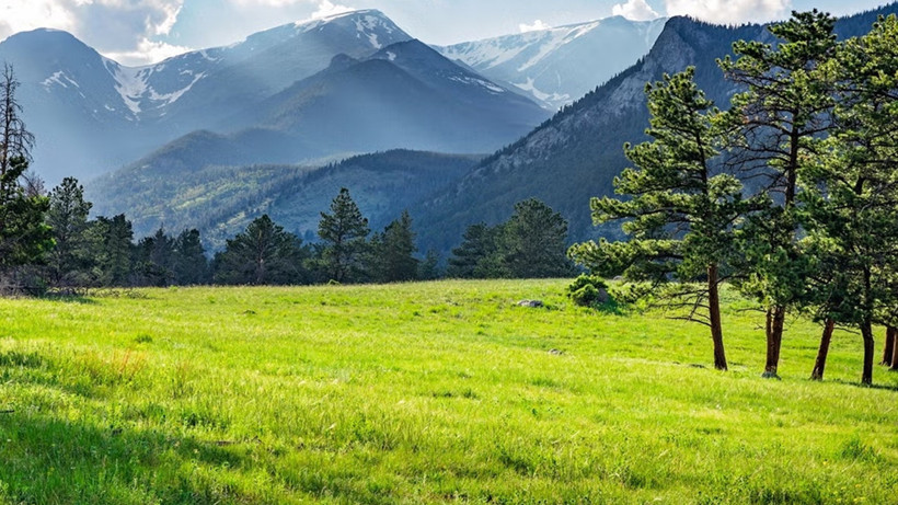 Dikkat Çeken Araştırma Sonucu: Doğa Belgeselleri Ağrıyı Dindiriyor