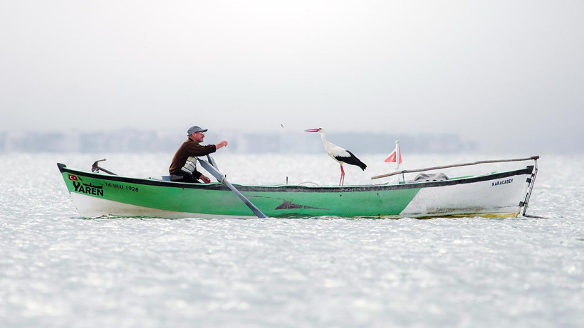 'Yaren Leylek' Fotoğrafı İspanya'da Birinciliği Getirdi