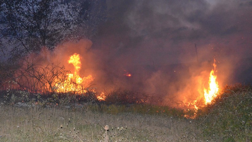 Sinop'ta Ormanlık Alanda Örtü Yangını