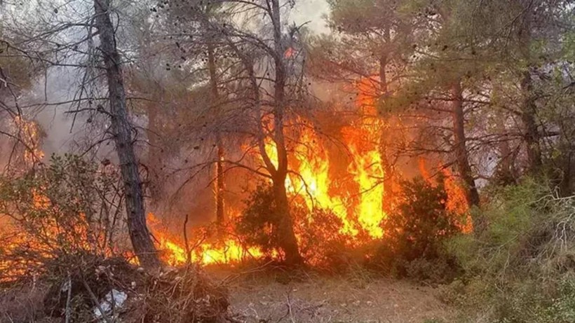 Nepal'de Orman Yangınında 4 Kişi Öldü