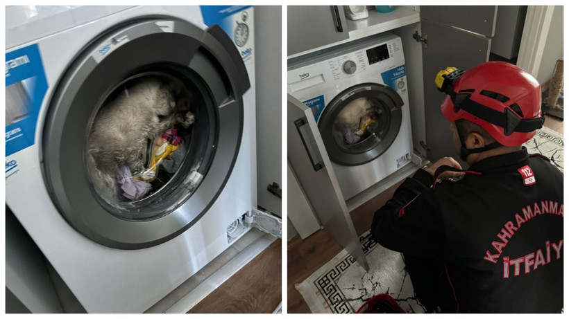 Çamaşır Makinesinde Mahsur Kalan Kedi Kurtarıldı