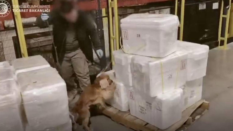 İstanbul Havalimanı'nda 455 Kilo Kokain Ele Geçirildi