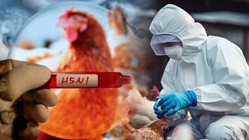 Meksika'da Kuş Gribi Alarmı! İlk Kez Bir İnsanda Görüldü