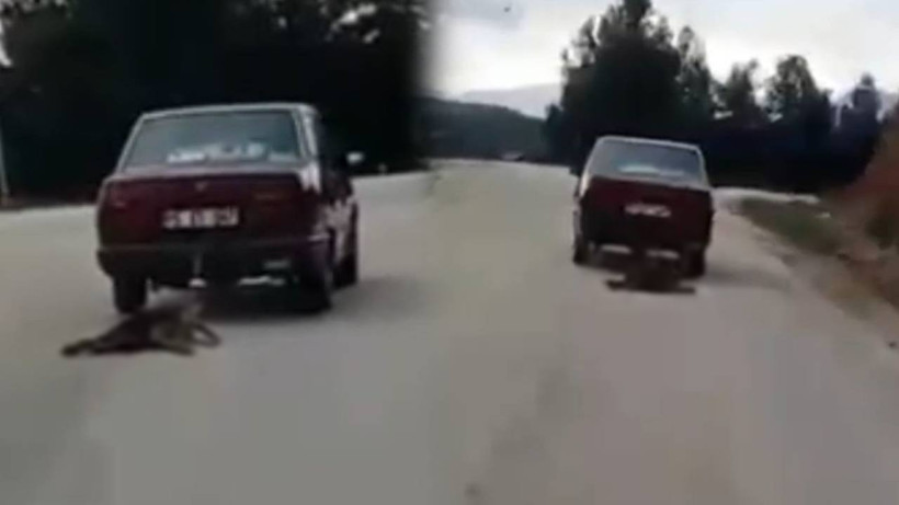 Burdur'da Köpeğe İnsanlık Dışı Eziyet! Araca Bağlayıp Metrelerce Sürükledi