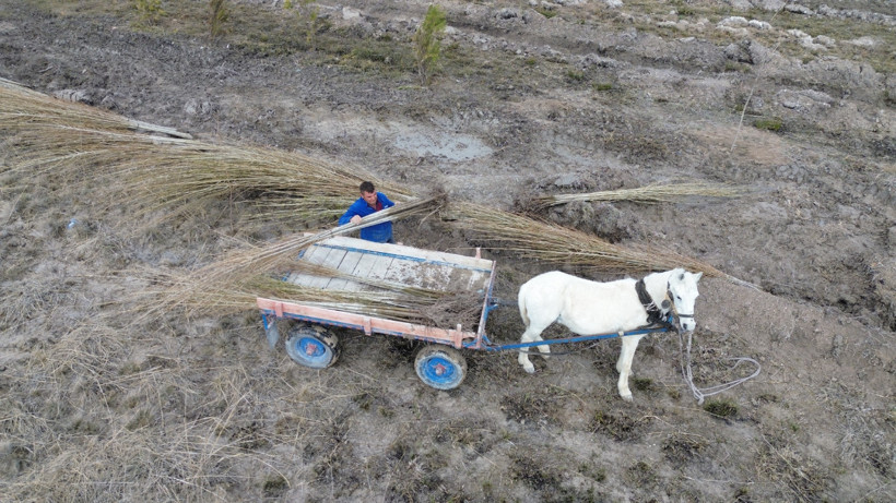 Doğaseverlerden Tuz Gölü İçin Yeni Adım, 5 Bin Fidan Dikildi