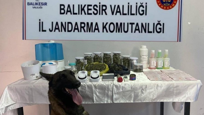Balıkesir'de Uyuşturucu Operasyonu: 81 Kişiye İşlem