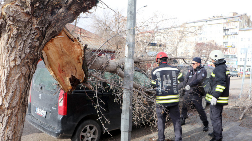 Erzurum’da Fırtına Çatıları Uçurdu Ağaçları Devirdi
