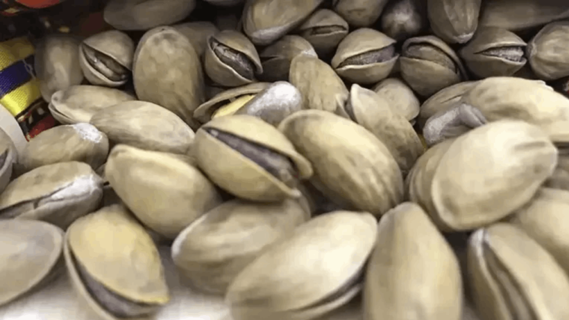 Bulgaristan'ın Türkiye'den Aldığı Antep Fıstığında Zehirli Madde Çıktı