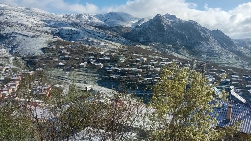 Ünü Sınırları aşan Tunceli'nin Ukukale Dutunu Don Vurdu