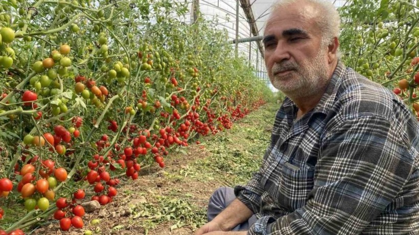 Tarlada 15 TL, Markette 70 TL: Çiftçi Zararına Satışa İsyan Etti