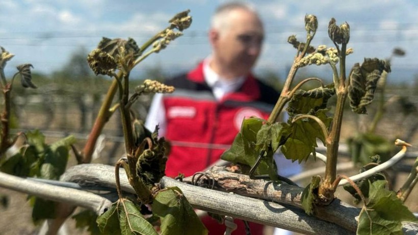 CHP'li Gürer'den Zirai Don İçin Çiftçiye Destek Çağrısı