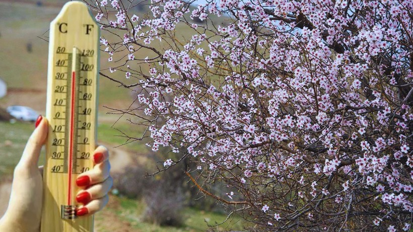 Meteoroloji Bölge Bölge Açıkladı: Sıcaklıklar Artıyor, Bahar Geri Geliyor