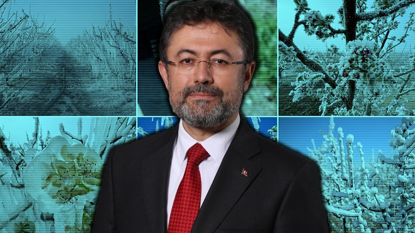 Zirai Don Tarlaları Vurdu, Tarım ve Orman Bakanı Yumaklı, Çiftçiye Kızdı