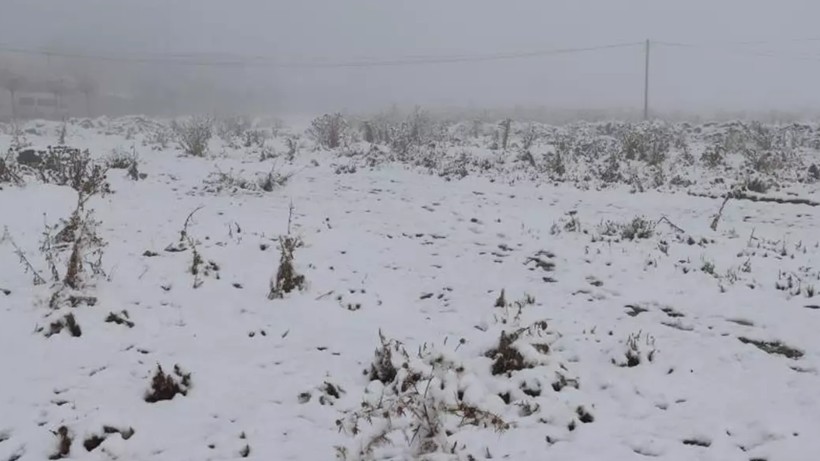 Ağrı'yı Dolu Vurdu