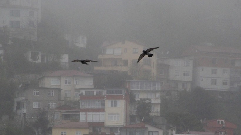 Ordu’nun Yüksek Kesimleri Sise Gömüldü