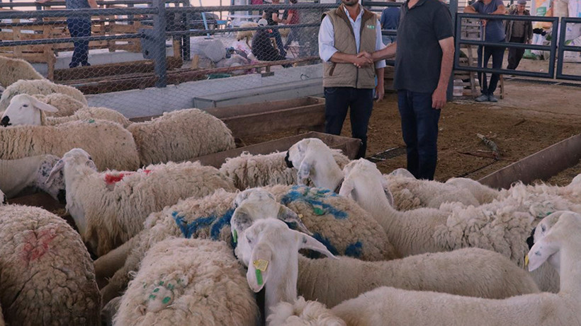 Kurban Bayramı Yaklaşırken Bakanlık Harekete Geçti: Artık Her Şey Bu Düzenlemeye Göre Yapılacak!