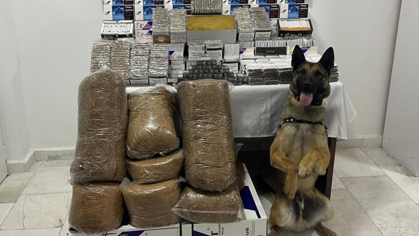 Afyonkarahisar’da 20 Bin Kaçak Makaron Ele Geçirildi