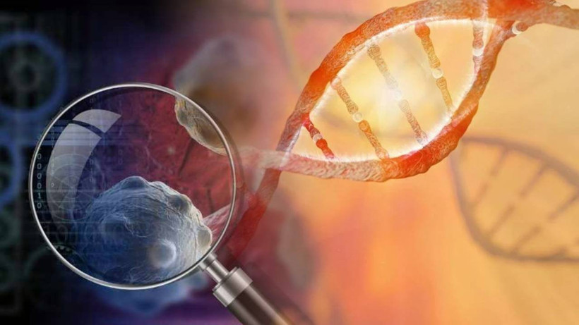 Kanserin Şifresi Çözülüyor: Erken Teşhiste Yapay Zekâ Dönemi