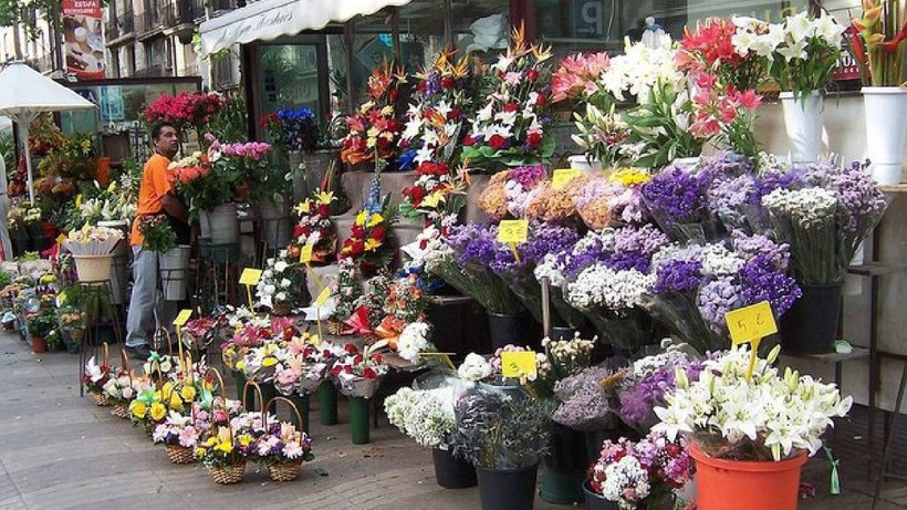 Bu 4 Çiçeği Koklamanın Ömrü Uzattığı Ortaya Çıktı: Eline Alınca Bile Etkisi Başlıyor
