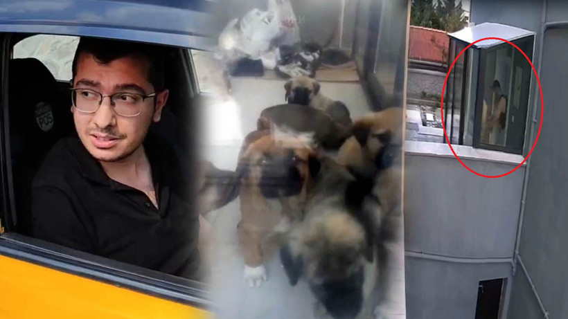 Okudukça İsyan Edeceksiniz! Sahiplendiği Köpekleri Öldüren Doktorun Savunması Çileden Çıkardı