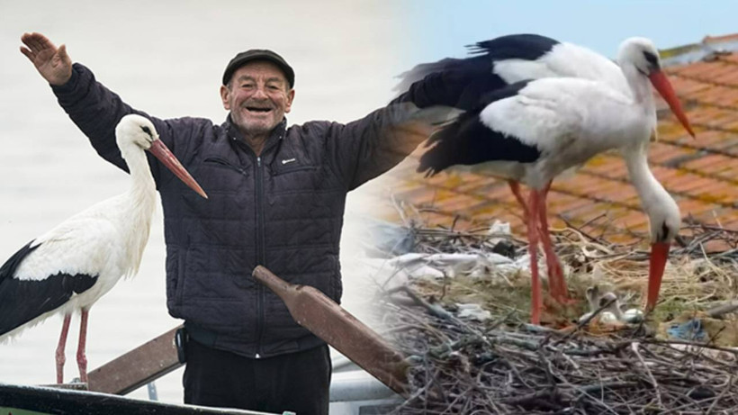 Yaren Leylek ile Eşi Nazlı'dan Müjdeli Haber: İki Yavruları Yumurtadan Çıktı