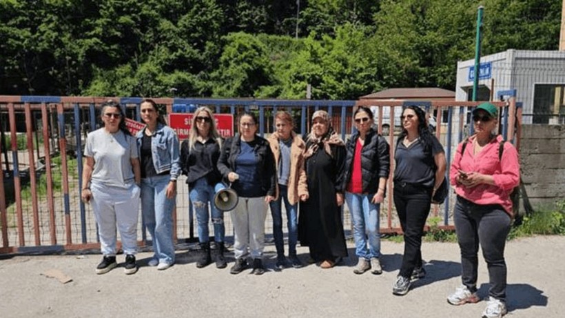 Barınaktaki Köpek Öldürüldü, Hayvanseverler Ayakta