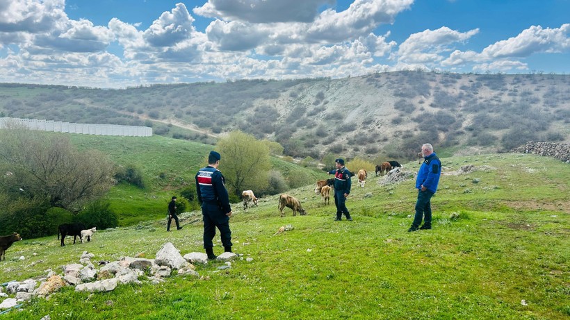 Kaybolan Hayvanları Jandarma Buldu