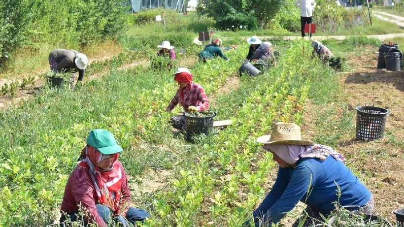 Üretici ile Tüketici Arasındaki Makas Meclis Gündeminde