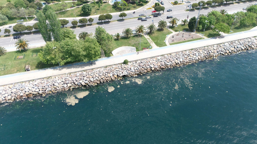 Marmara Denizi'nin Hastalığı Geri Döndü! Maltepe Sahil'de Müsilaj Paniği