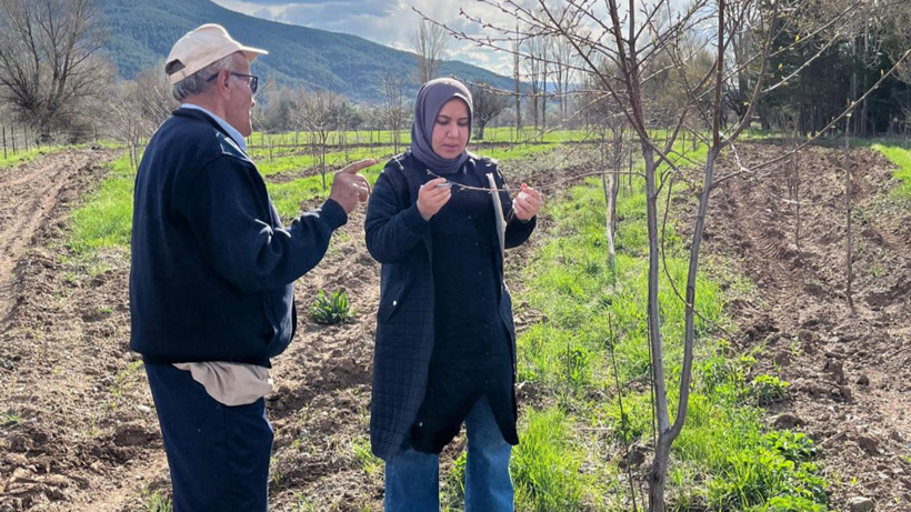 Erzincan'da Zirai Don İncelemesi