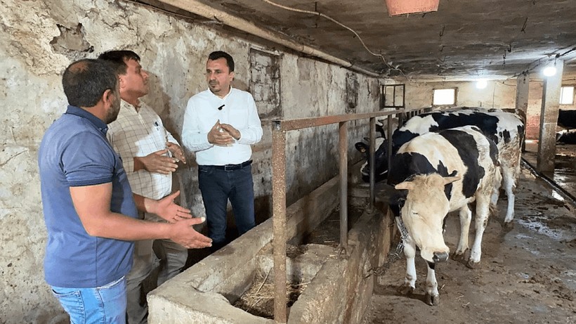 Kurban Bayramı Öncesinde Besiciler Maliyetlerin Yüksek Oluşuna İsyan Etti