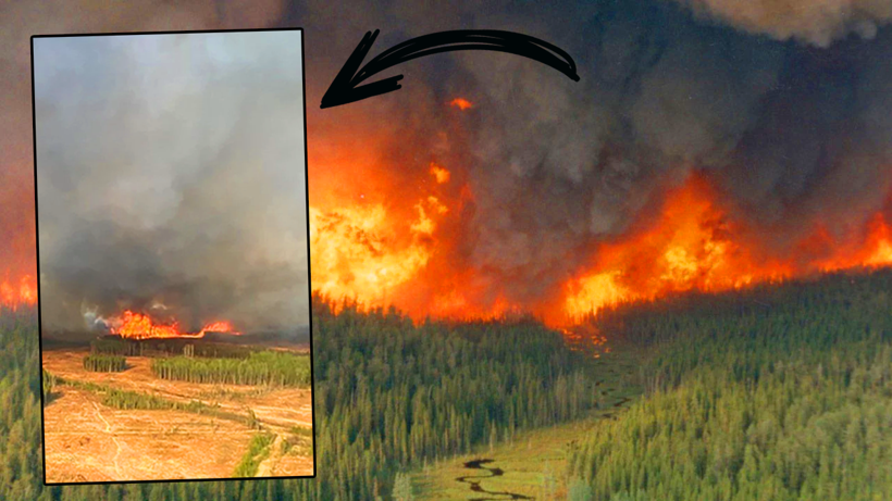 Kanada'da Orman Yangınları Sonrası Büyük Alarm! Tahliyeler Başladı, Olağanüstü Hal İlan Edildi