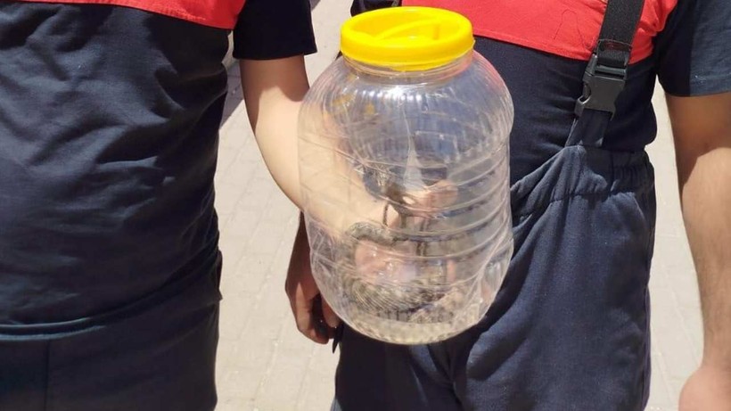 Mutfakta Görülen Yılan Paniğe Neden Oldu