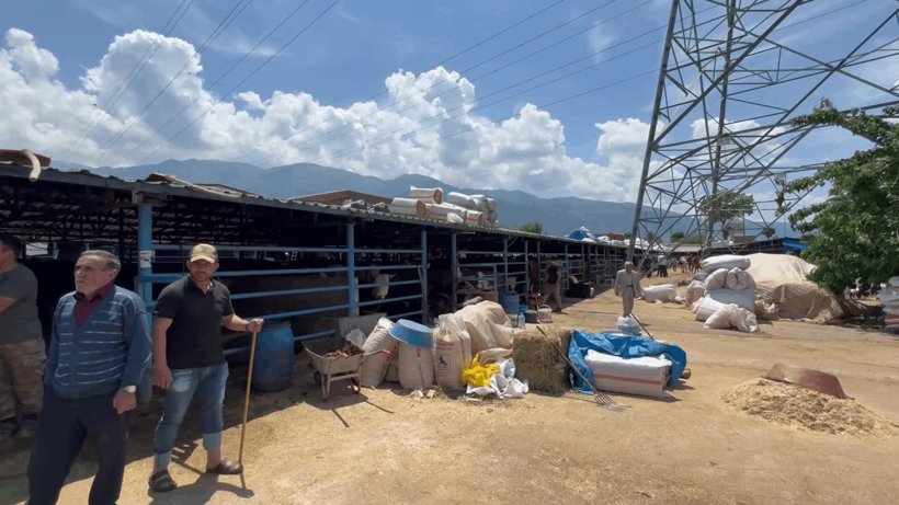 Besiciler Diyanet'e Tepkili, 'Bir Hayvanı 56 Bin Liraya Açıklıyor'