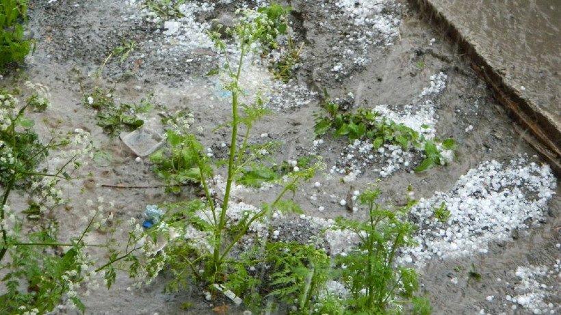 Posof'u Dolu Vurdu: Sokaklar Göle Döndü, Bahçeler Zarar Gördü