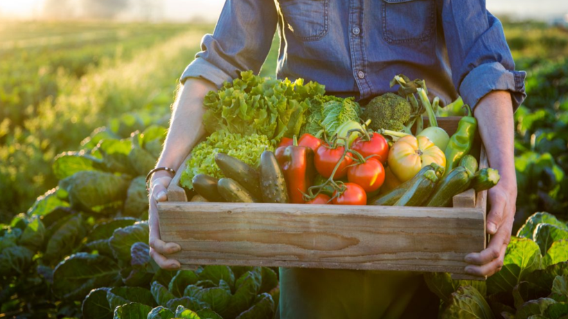 Salatanın Yanına Ekilirse İki Kat Hasat Ediliyor! Bu Sebzeler Birbirinden Besleniyor