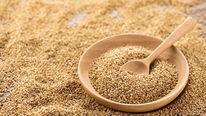 Yunanistan'a Gönderilen Susamda Ölümcül Bakteri!