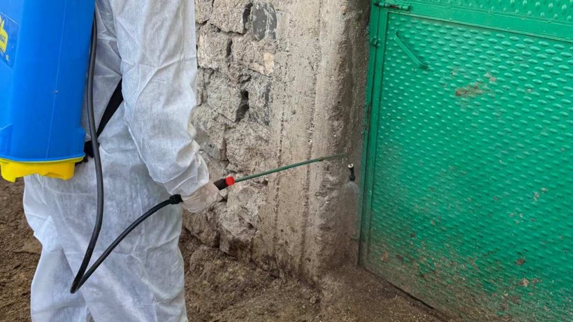 Şırnak'ta Şap Hastalığı Görülen Köye Hayvan Giriş Çıkışları Yasaklandı