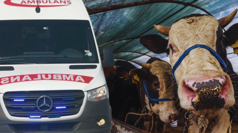 İstanbul'da Kurban Bayramı'nın İlk Gününde 829 Kişi Hastanelik Oldu: 1 Kişi Hayatını Kaybetti