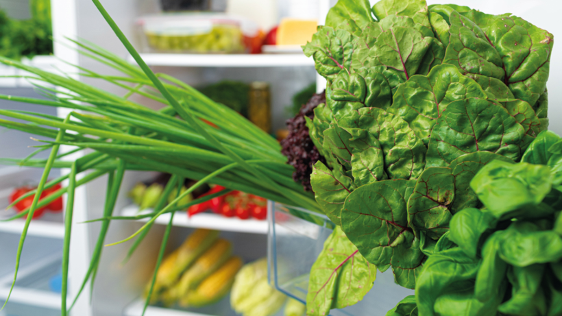 50 Güne Kadar Tazeliğini Koruyor: Yeşillikleri Evde Saklamanın Püf Noktaları